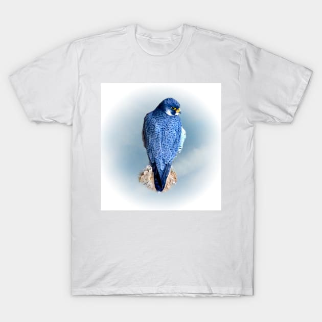 Falcon T-Shirt by Guardi